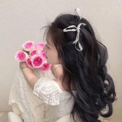 变身!偶像公主